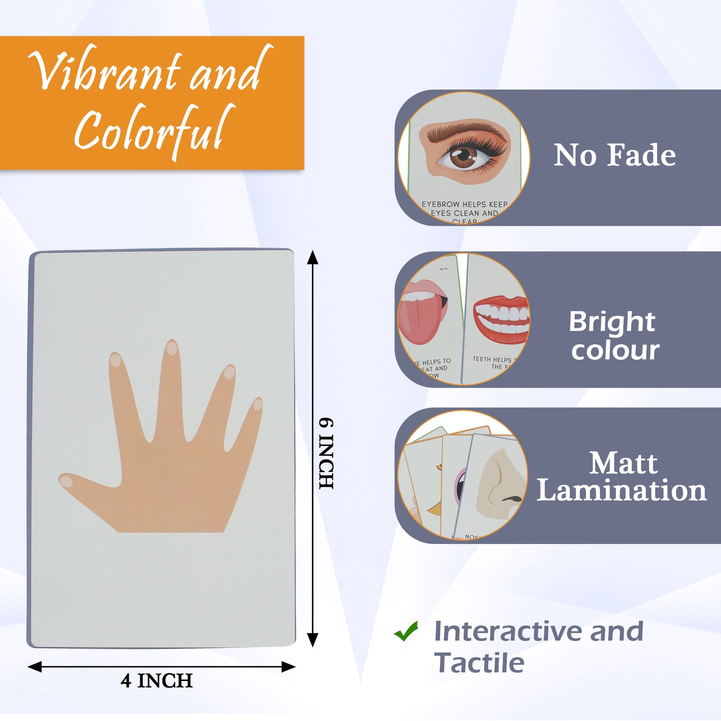 PiK A BOO Body Parts FlashCards – Early Learning for Kids & Toddlers (Set of 18)