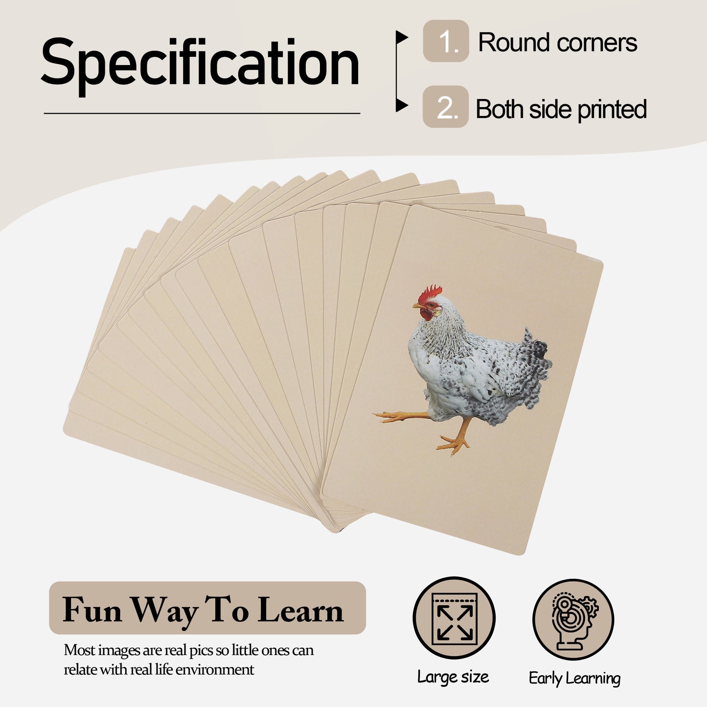 PiK A BOO Birds Flash Cards | Early Learning for Toddlers & Preschool (Set of 18)