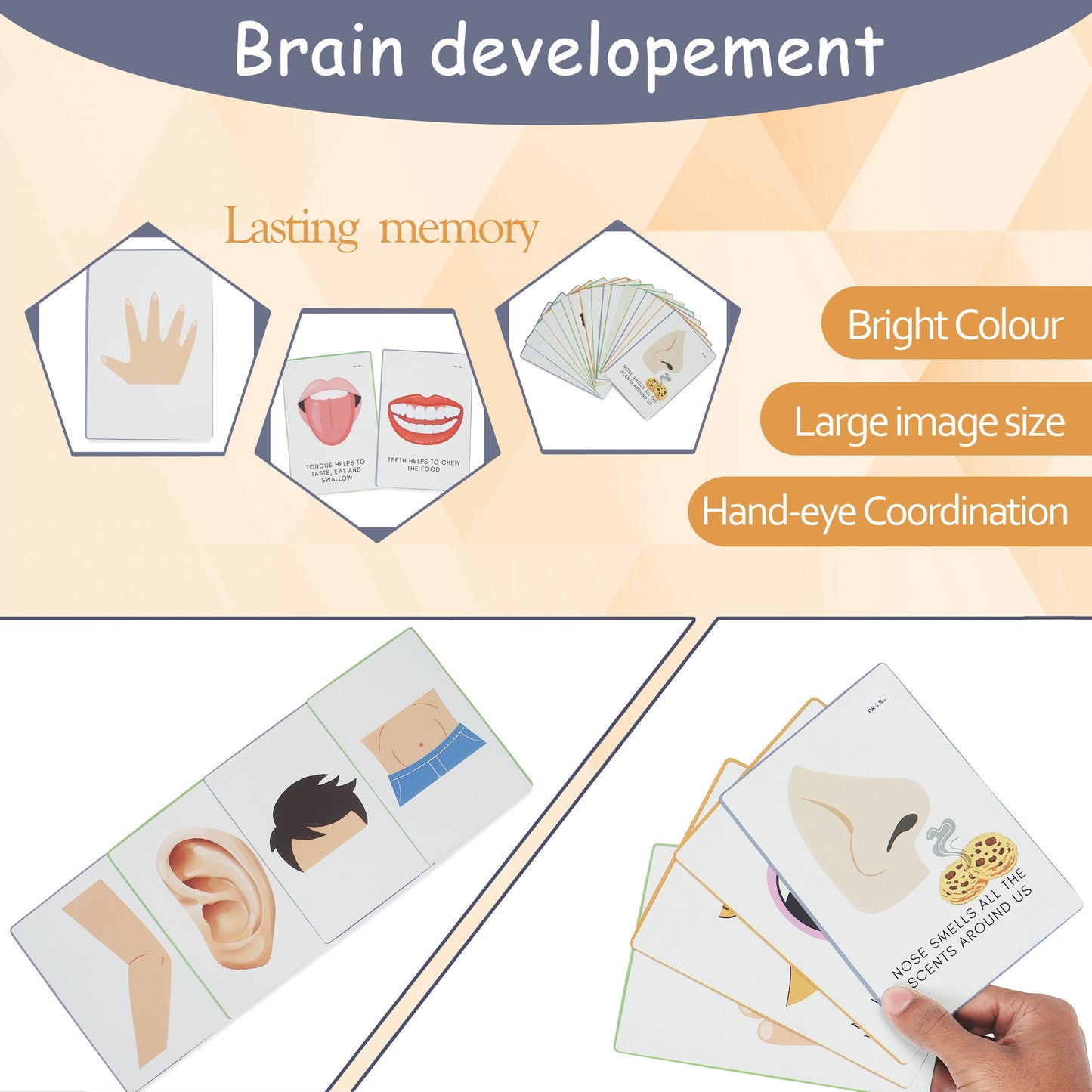 PiK A BOO Body Parts FlashCards – Early Learning for Kids & Toddlers (Set of 18)