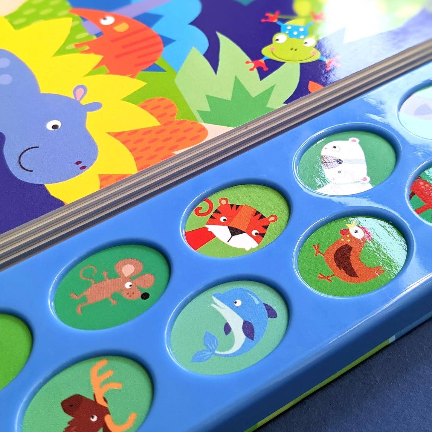 Baby Animals Sound Book – 5 Click | Interactive Learning for Kids