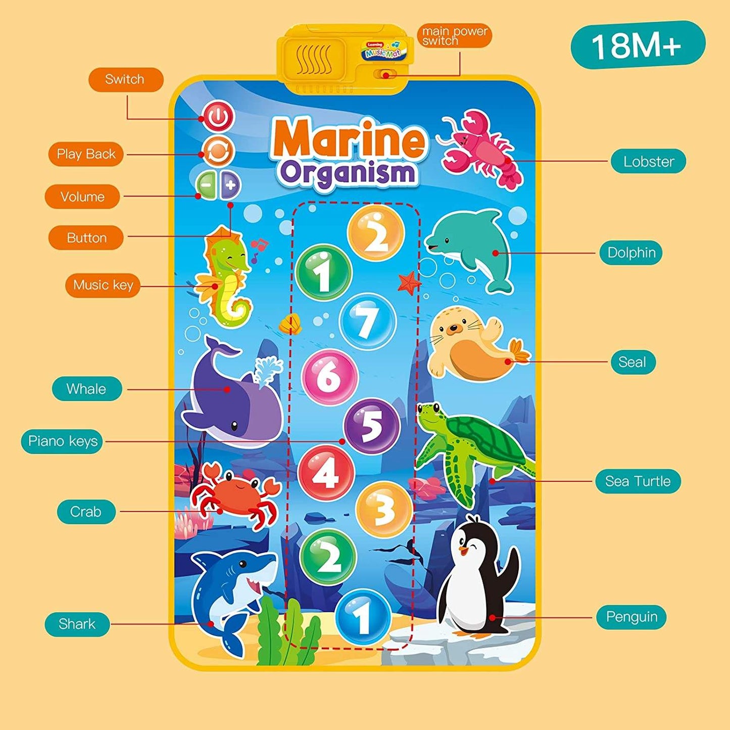 Baby Sensory Floor Piano Mat โ Musical Dance Pad Toy