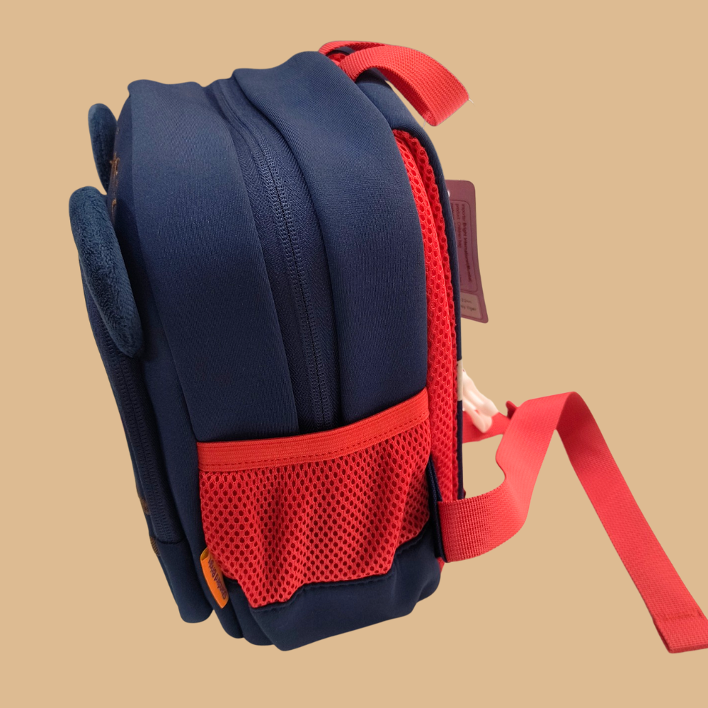 Cute Tiger Picnic Bag for Toddlers & Kids | Lightweight Stylish