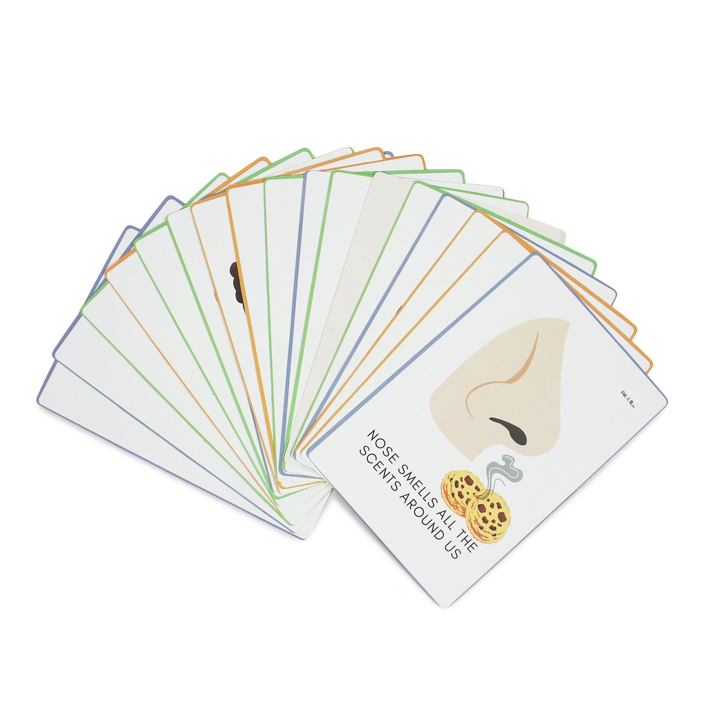 PiK A BOO Body Parts FlashCards – Early Learning for Kids & Toddlers (Set of 18)