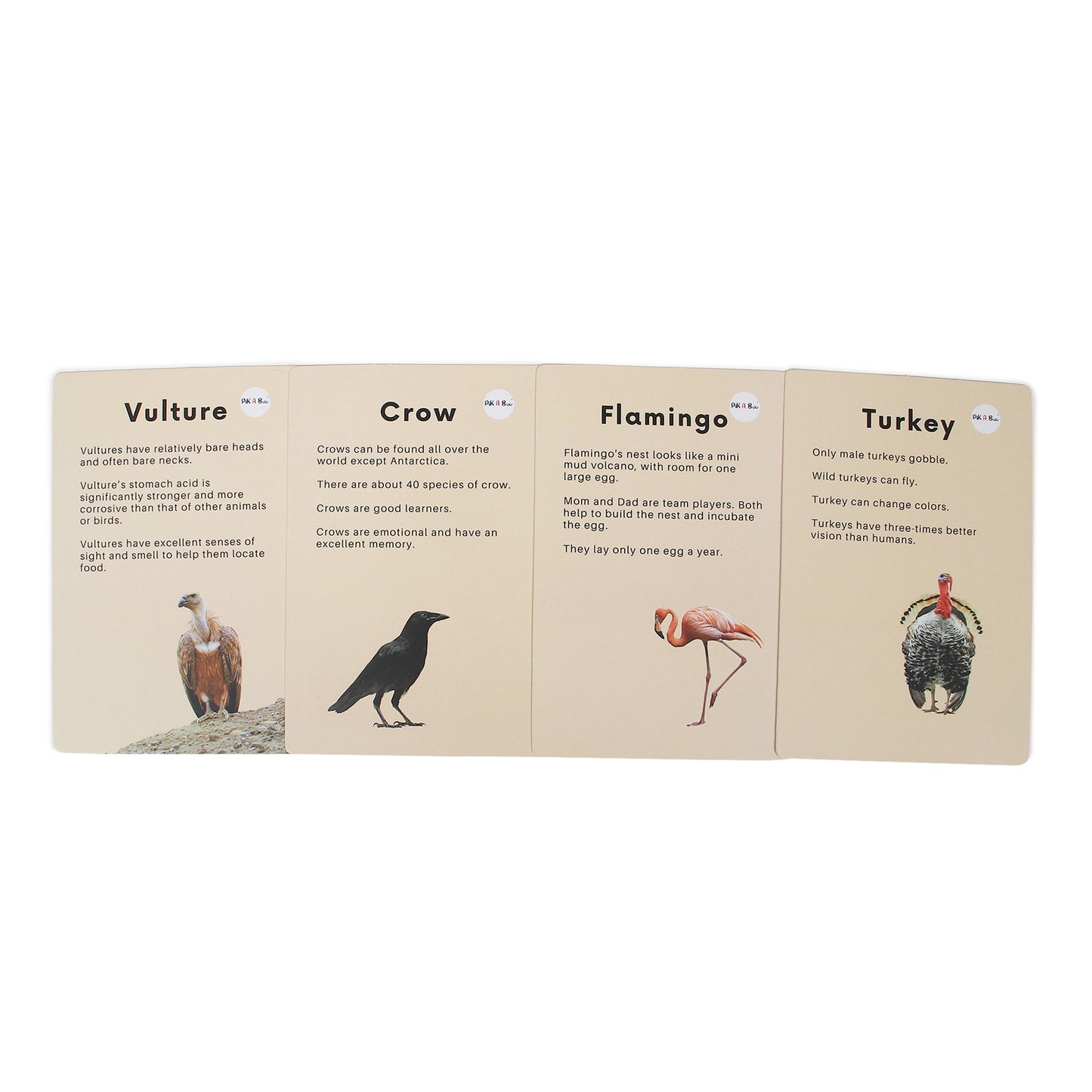 PiK A BOO Birds Flash Cards | Early Learning for Toddlers & Preschool (Set of 18)