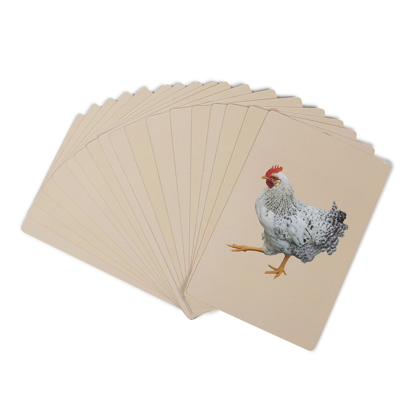 PiK A BOO Birds Flash Cards | Early Learning for Toddlers & Preschool (Set of 18)