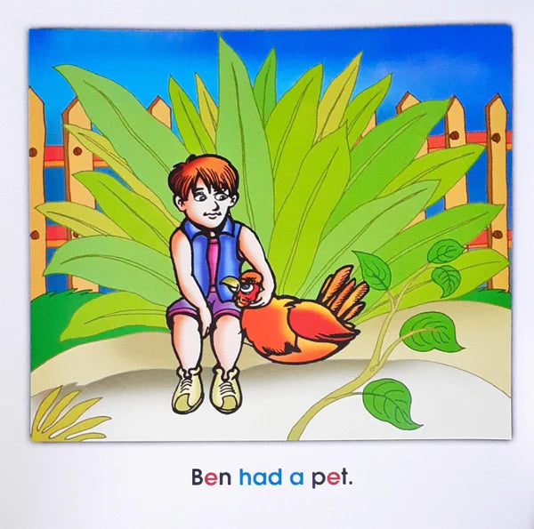 Phonics Story Time Library: Meg The Hen