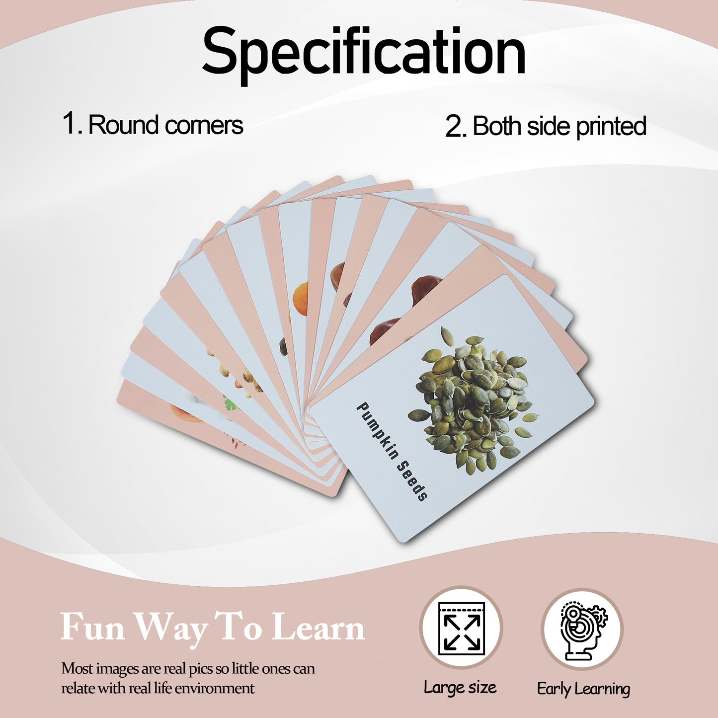 PIK A BOO Nuts & Seeds Flash Cards – Educational | Early Learning Kids (Set of 18)