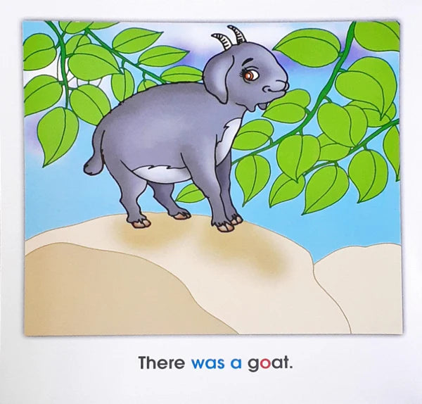 Phonics Story Time Library: Tony`s Boat Ride