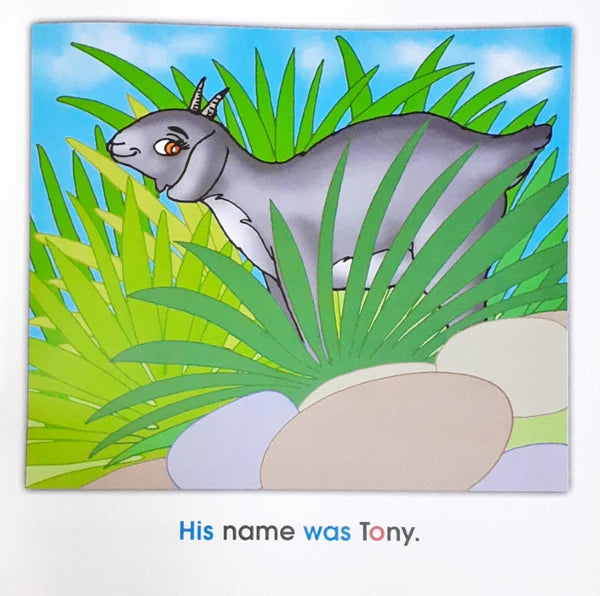 Phonics Story Time Library: Tony`s Boat Ride