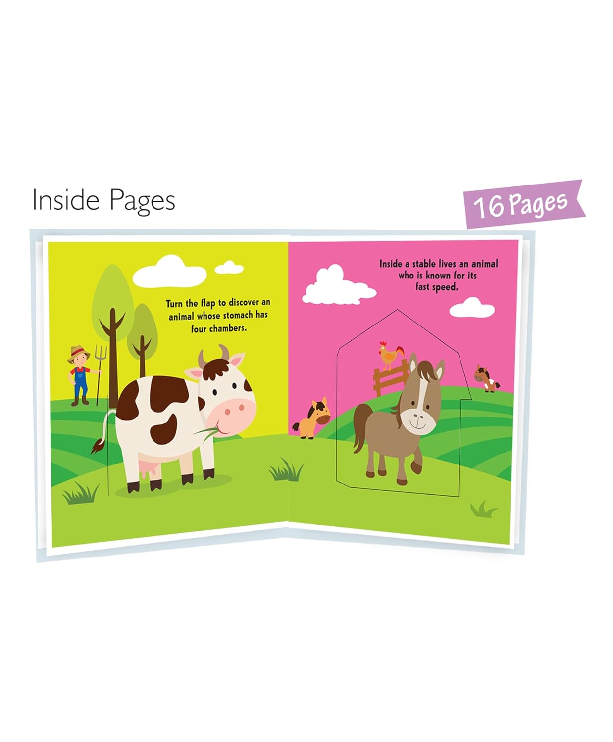Who Is Hiding - Farm Animals