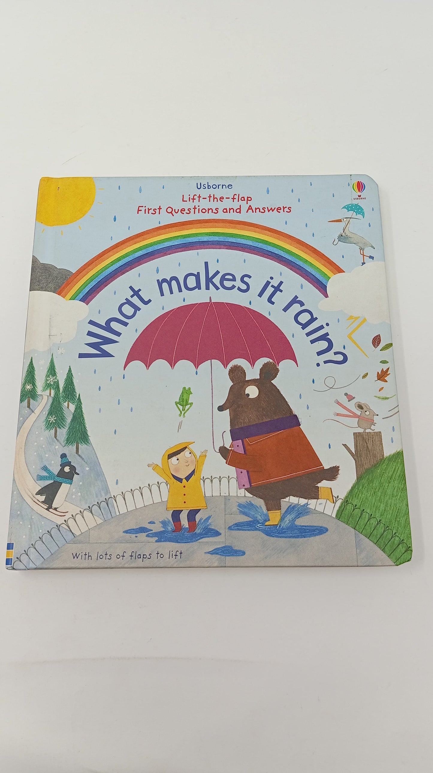 Pre Loved ( As good as new) || Lift-The-Flap First Questions And Answers What Makes It Rain ?