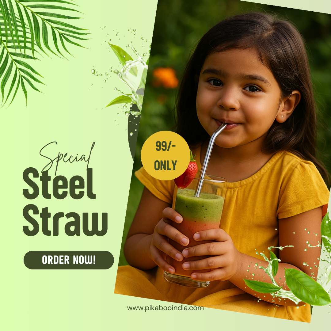 Metal Straw Set – 2 Bent & 2 Straight | Reusable with Brush