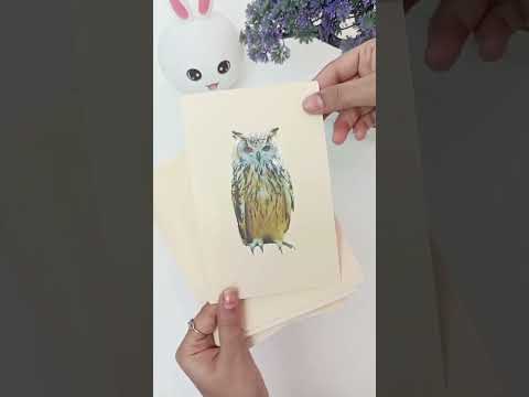 PiK A BOO Birds Flash Cards | Early Learning for Toddlers & Preschool (Set of 18)