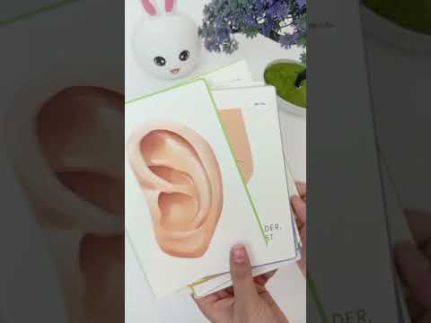 PiK A BOO Body Parts FlashCards – Early Learning for Kids & Toddlers (Set of 18)