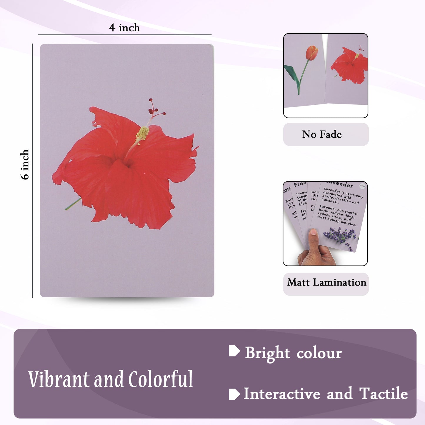 PiK A BOO Flower Flash Cards | Early Learning & Preschool Study Fun (Set of 18)