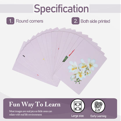 PiK A BOO Flower Flash Cards | Early Learning & Preschool Study Fun (Set of 18)