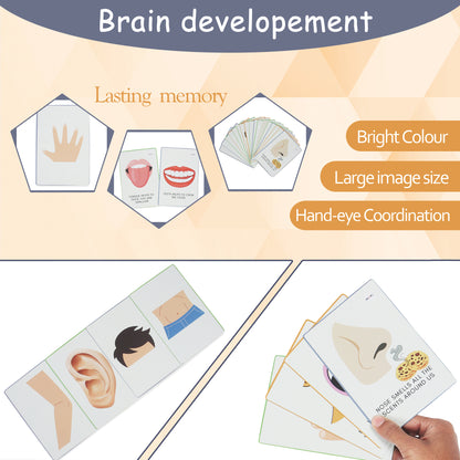 PiK A BOO Body Parts FlashCards – Early Learning for Kids & Toddlers (Set of 18)