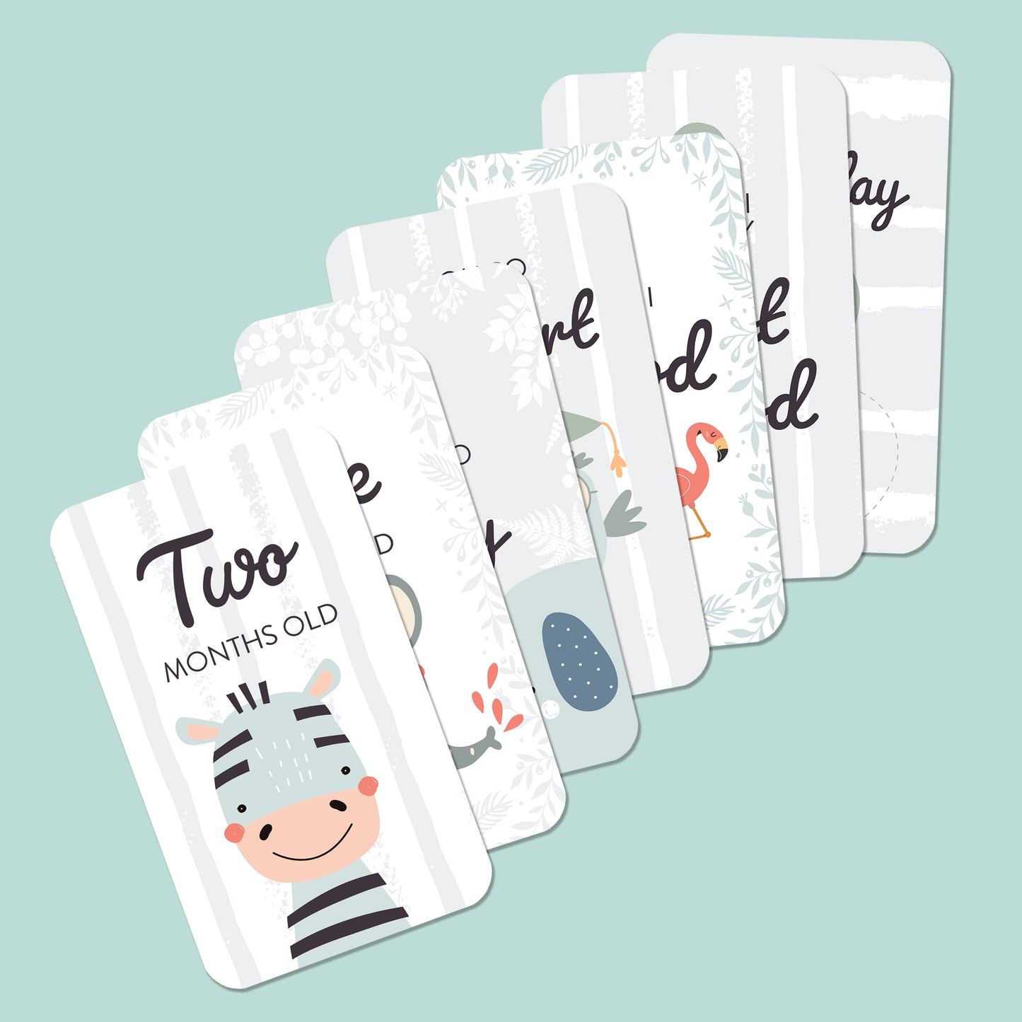 Baby Milestone Card Set: Capture Every Precious Moment.