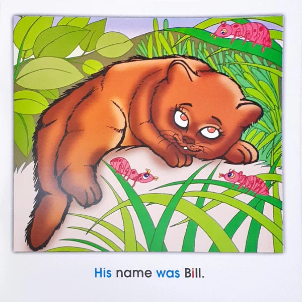 Phonics Story Time Library: Bill and The Figs