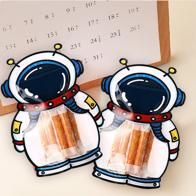 Pouch Bags Gift, Travel, Stationery, Jewelry Return Gifts (Set of 10 Pouches)