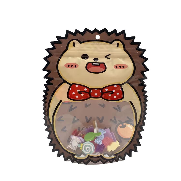 Pouch Bags Gift, Travel, Stationery, Jewelry Return Gifts (Set of 10 Pouches)