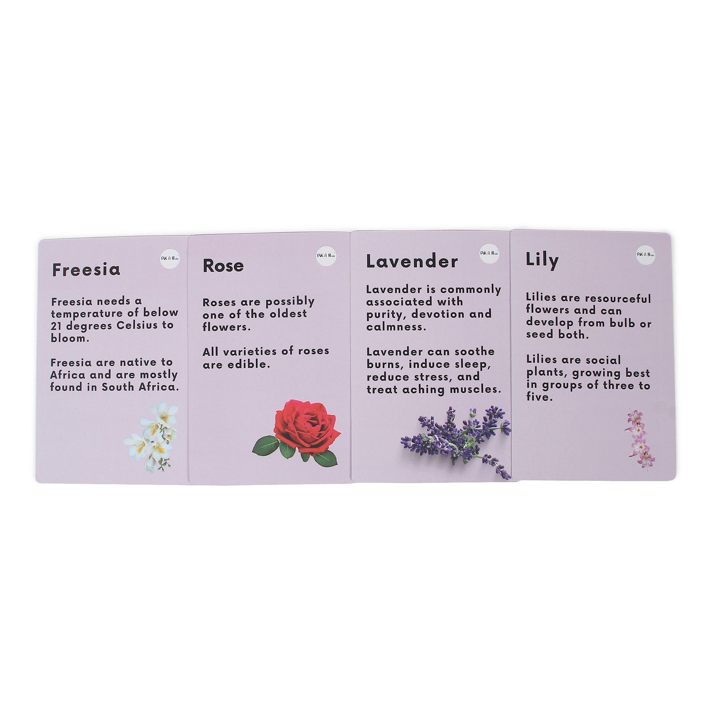 PiK A BOO Flower Flash Cards | Early Learning & Preschool Study Fun (Set of 18)