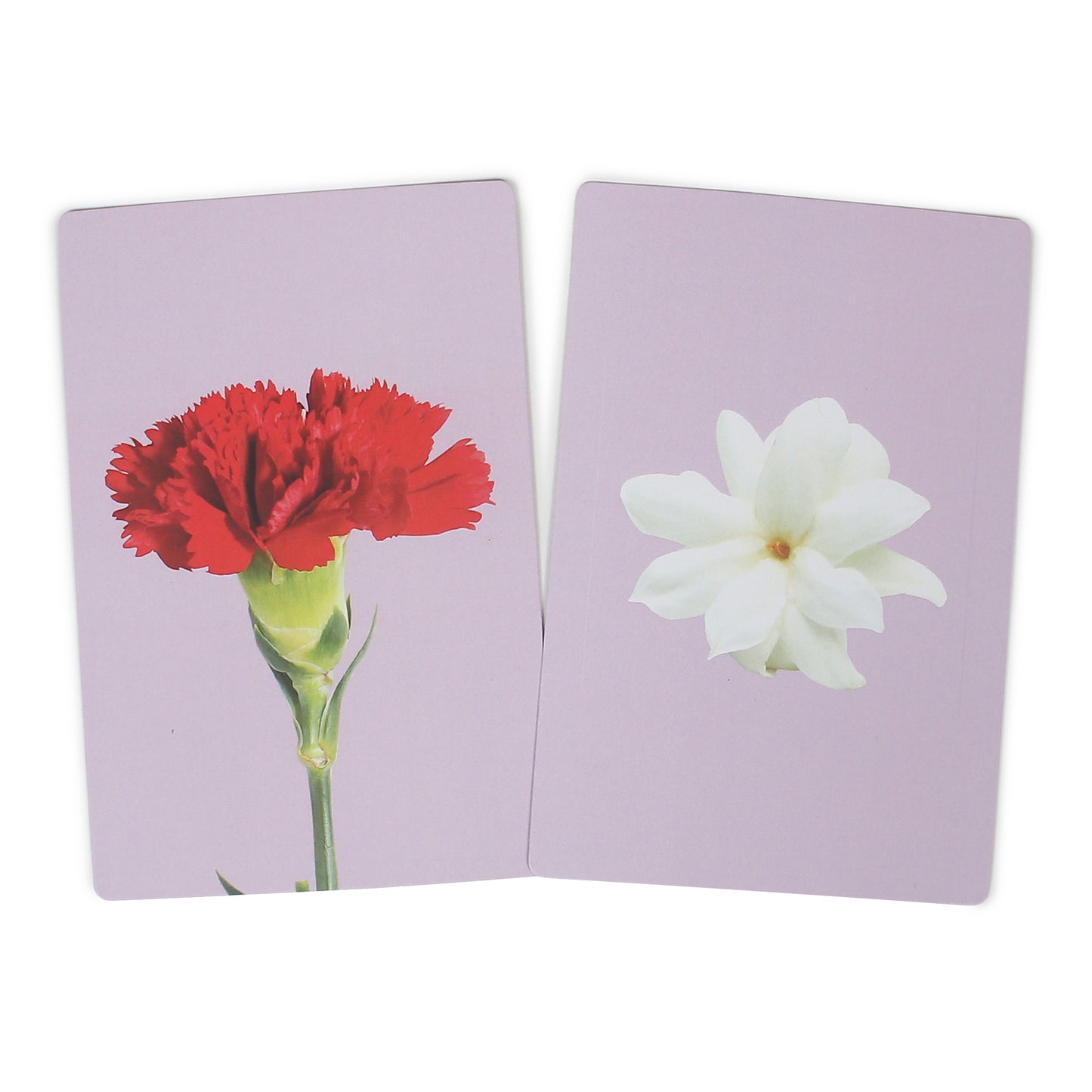 PiK A BOO Flower Flash Cards | Early Learning & Preschool Study Fun (Set of 18)