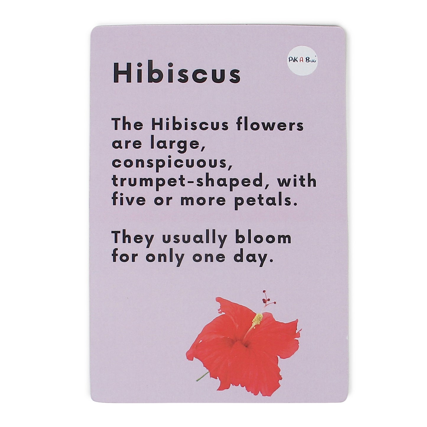 PiK A BOO Flower Flash Cards | Early Learning & Preschool Study Fun (Set of 18)