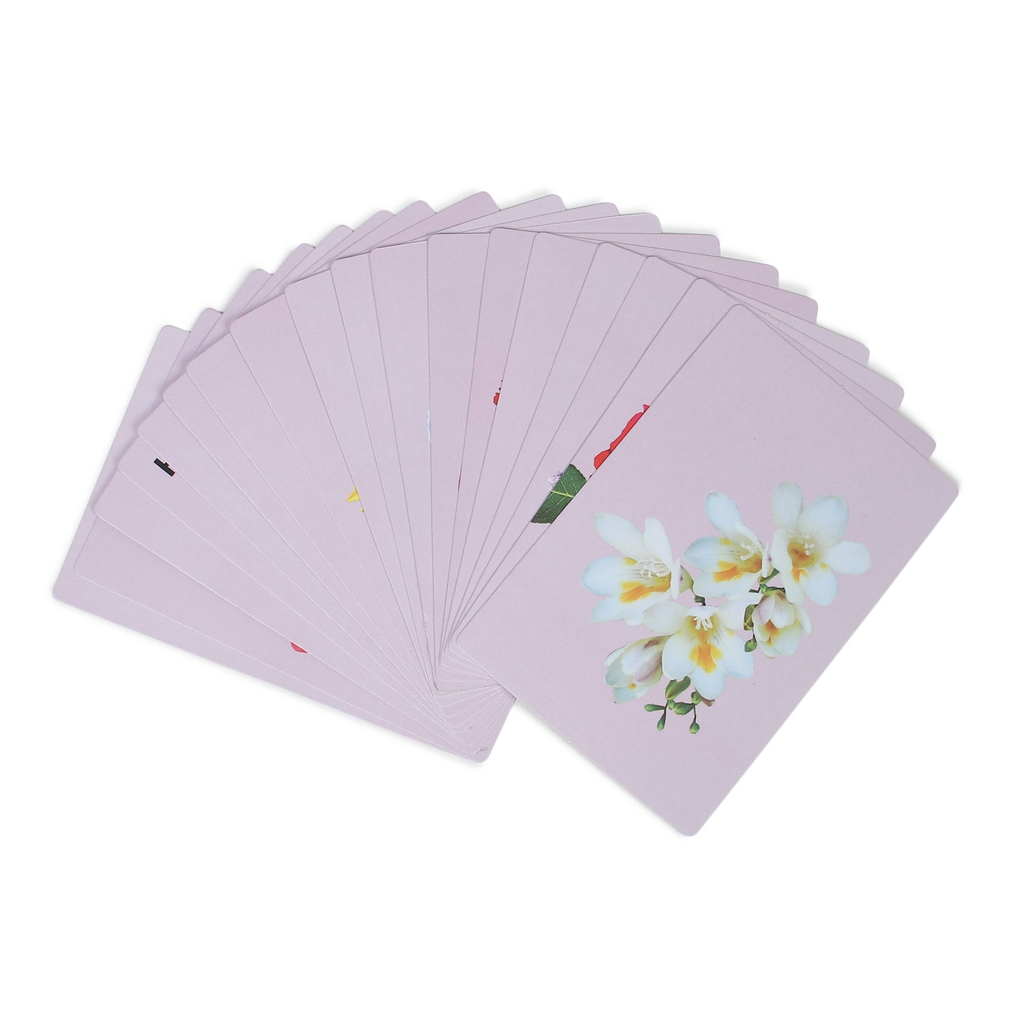 PiK A BOO Flower Flash Cards | Early Learning & Preschool Study Fun (Set of 18)