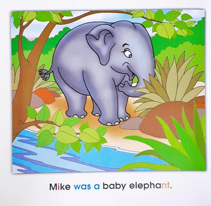 Phonics Story Time Library:   Mike`s Flight