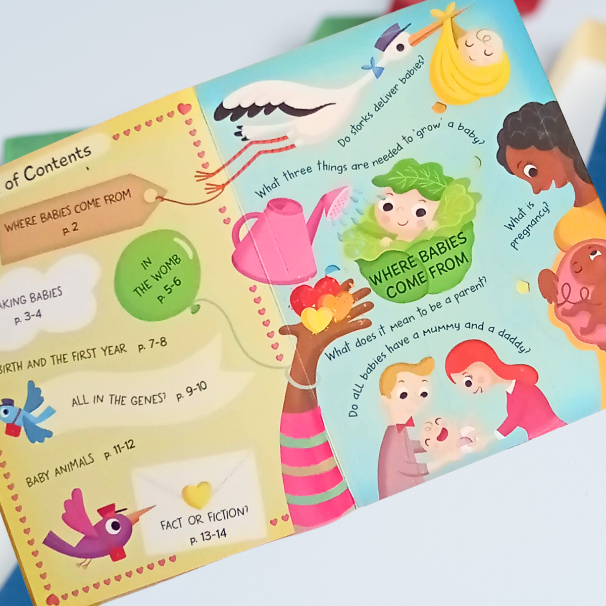 My Big Book of Answers – Babies Flap Book for Kids