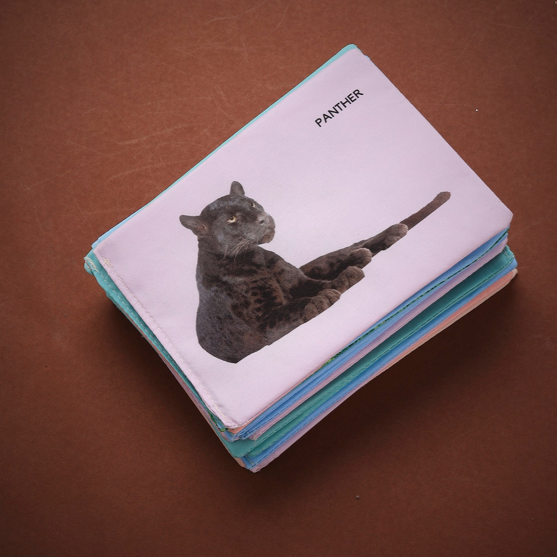 Cloth Wild Animal Flash Cards | Early Learning & Brain Play