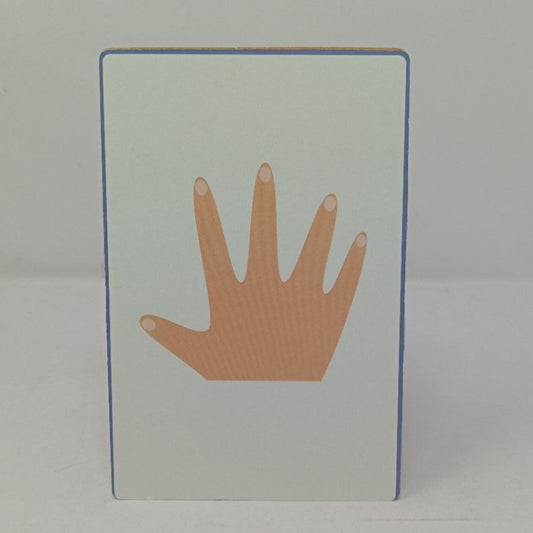 PiK A BOO Body Parts FlashCard for Kids Toddlers, Pre School, Early Learning