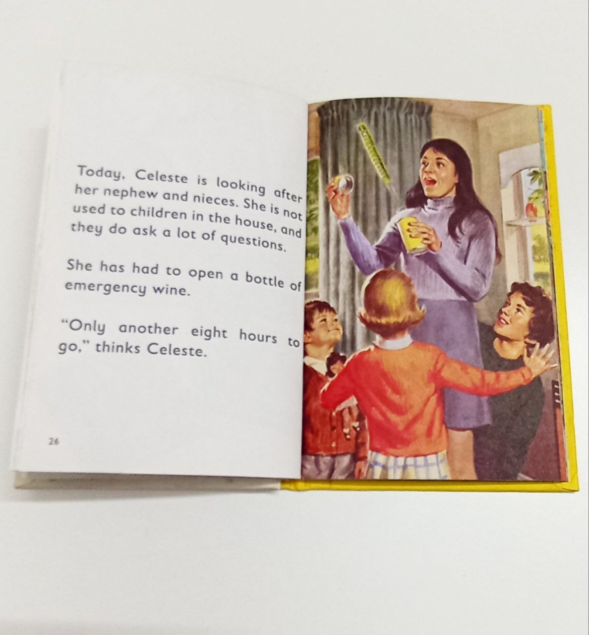 Pre Loved || The Wife , A  Ladybird Book