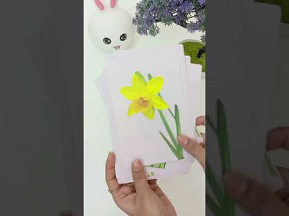 PiK A BOO Flowers Flashcard for Kids, Toddlers, Babies | Early Learning Picture Flashcard | Preschool Educational Study Material