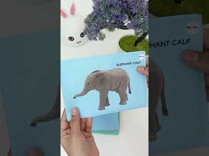 PiK A BOO Cloth Wild Animals Flash Cards l Kids Early Learning l Brain Development Study Material for Preschoolers and Kindergarten